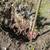 Sprinklers and drip systems 16 thumbnail