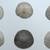 Sand Dollars / Lot 7 thumbnail