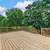 Historic Benton Park Townhouse Style Apartment Available TODAY 21 thumbnail