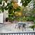 2-Bedroom/1-Bath Duplex for Rent 6 thumbnail
