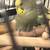 3 parakeets + cage 6 thumbnail