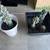 Cacti 1 thumbnail