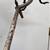 Antique Brass and Iron Fireplace Andirons 5 thumbnail