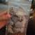 3 sports beanie bears in plastic case 5 thumbnail