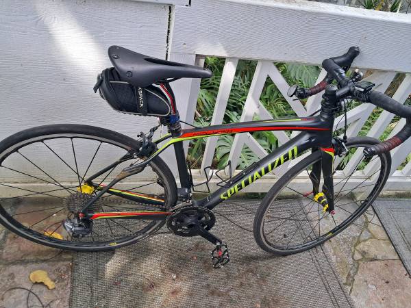 Specialized Roubaix (carbon) 1