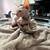 Hairless kittens 4 thumbnail