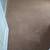 Carpet cleaning/Pressure washing 5 thumbnail