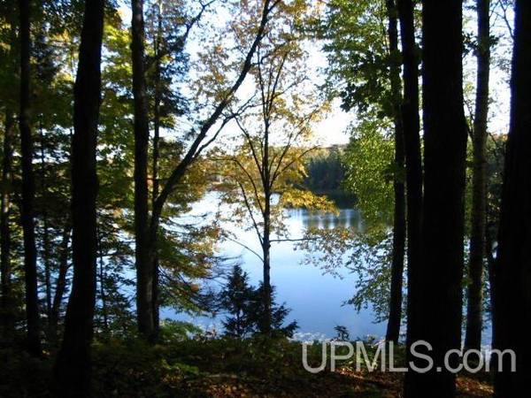 $73,500 2 Acres County Line Lake MLS 50175787 (Watersmeet)64151610098946123