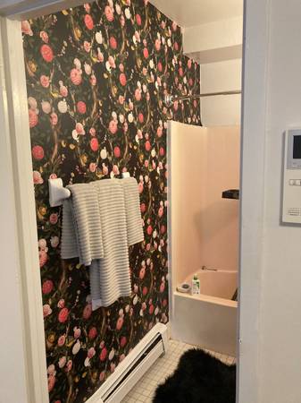 $2,500 / 250ft2 - $2500 studio in east village (East Village)63788457294081123
