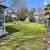Little Old House Needs Responsible Renters 3 thumbnail