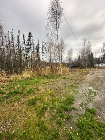 $1,700 / 2br - 800ft2 - 2 bed 1 bathroom- pets OK - plenty of parking (Wasilla)64014172645379122