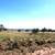 Peaceful Spot for RV or Cabin – 1.14 Acre Lot Outside Seligman 1 thumbnail