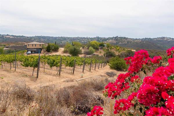 $400,000 4.84 Acres Vacant Land - Build Your Dream Estate in Wine Country (Fallbrook)63878583024771120
