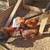 Layer Chicken Starter Flock. 3 hens and a Rooster 2 thumbnail