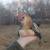 Duccle pair 10 thumbnail