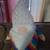 Various big stuffed animals 1 thumbnail