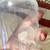 Massager and Manual Pump 6 thumbnail