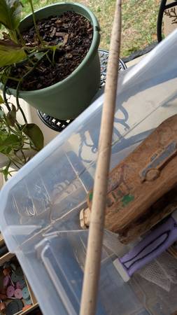 Looking for used drum sticks and brushes (Covington)64037452887297122