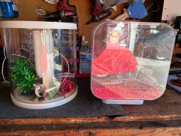 2 aquariums Desktop 1