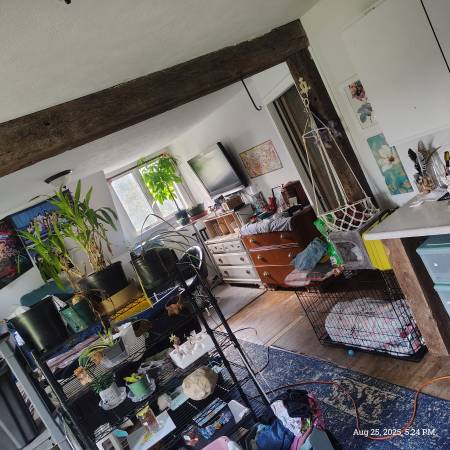 $1,800 / 1br - Double Room for rent (Elk Rapids area)64037724272770120