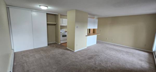 $1,145 / 1br - 800ft2 - Eagan 1 BDRM Apt Move-in Ready! 218A (Eagan)63666914229635124
