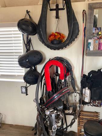 Wagonette and draft harness for sale 1