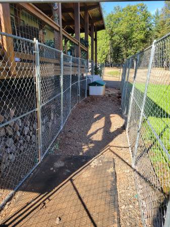 Dog pen 1