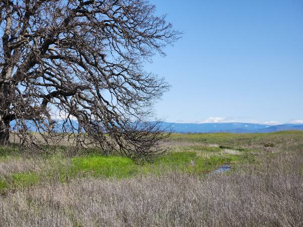 $99,000 40 Acres for sale (Millville)63972528928131121