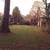 🍂Fall Cleanups,Weeding,Gardening,More🍂 8 thumbnail