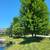Welcome, Home! Mountain Villa Apartments in Pulaski, WI WWM 5 thumbnail
