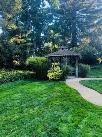 $2,395 / 2br - 880ft2 - GORGEOUS TWO BEDROOM/TWO BATH WITH NEW CARPET 🌺 (concord / pleasant hill / martinez)63994248960002123