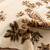 WW Timeless Le Petit Palais Ivory Traditional Area Rug 8'x11' -NEW*- 5 thumbnail