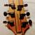ESP LTD FX-260 SM EMG PcUps 1of a Kind Spalted Maple Natural Satin 400 4 thumbnail