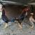 Very Nice Small Bantam Thai Chicken 1 thumbnail
