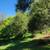 RV Spot on shared 5 acre parcel in Lotus area 4 thumbnail