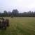 8 acres pasture for rent 2 thumbnail