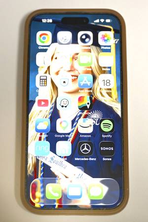 Iphone Pro 15 / 256GB  Silver  Unlocked 1