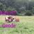 Grassfed herd trimming 20 thumbnail