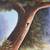 Original Framed Canvas Painting – Peaceful Nature Scene (26” x 23”) 6 thumbnail