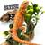 New reptile shipment!!-LOOK!! 18 thumbnail