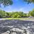 Dream Rental: 2bd/attached private garage/LP 20 thumbnail