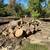 Land Clearing & Tree Removal 4 thumbnail