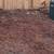 Year round Quality and affordable lawn Care and Removal services 2 thumbnail