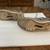 Nike Air Jordan Sky High Men’s Size 11 Sneakers 6 thumbnail