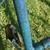 MADE IN THE USA...... hybird comfort unisex bike 26" tires 19" frame L 13 thumbnail