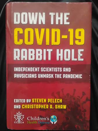 Down the COVID 19 Rabbit Hole 1