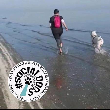 Dog Trainer in Legnago (Verona) and nearby 1