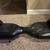 Nice Hover-1 hover board. Excellent condition. Fun toy, good times! 5 thumbnail