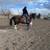 Horse riding lessons 4 thumbnail
