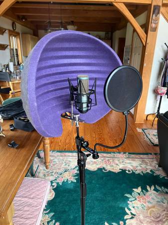 Condensor Mic and Sound Shield 1